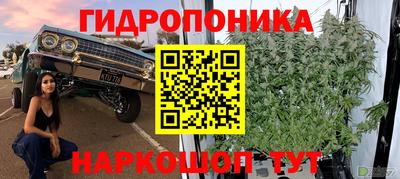 мдпв Дубна