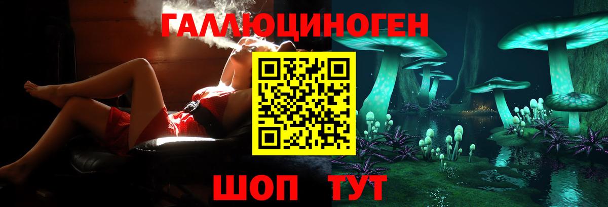 Малоярославец  Псилоцибиновые грибы GOLDEN TEACHER  Вход с VPN 